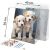 Massido 40x50cm Paint by Numbers Kit featuring cute puppies, dimensions shown