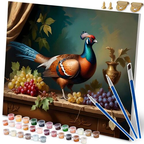 Massido Pheasant Paint by Numbers Kit 40x50cm with paints, brushes and canvas