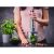 ETA Spesso II 4215 90000 Hand Blender with chopper attachment