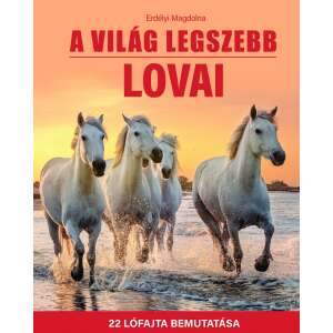 A világ legszebb lovai - 22 lófajta bemutatása 40233000 Gyermek könyvek