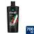 Axe Africa 3 in 1 Duschgel, Gesichts- und Haarpflege, 700ml, XXL Größe, 12h erfrischender Duft, mit pflanzlichen Präbiotika
