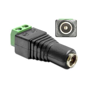DeLock Adaptor DC 5.5 x 2.5mm female > Terminal Block 2pin (65485) 114510588 - Conectori de cablu