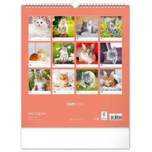 Realsystem 300 x 340mm 2023 Falinaptár - Cats (6087-CA) 126206976 - REALSYSTEM