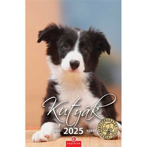 CSG 2024-es Kutyák 21x32cm falinaptár (FN 098) 118250249 - WaliSec