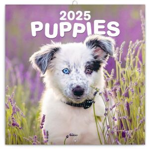 Realsystem 2024-es Puppies 6097-PU falinaptár (6097-PU) 115368363 - REALSYSTEM