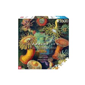 Good Loot Imagination Ernst Haeckel Meeresbewohner 1000-teiliges Puzzle - Puzzle