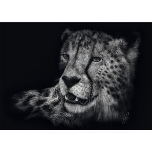 Ashley Rader Gepárd művészi nyomat a Schmidt Spiele 1000 darabos puzzle-höz - Schmidt