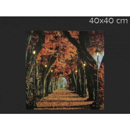 6LEDes világító falikép őszi fasor 40x40cm
