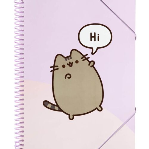 Pusheen A4 A4-es iratgyűjtő gumiszalaggal + 30 db átlátszó ing 114969739