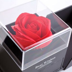 Trandafir roșu într-o cutie transparentă, cu inscripția Best Wishes pe cutie - Idee de cadou pentru Valentine's Day