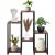 Springos Black and Brown Metal and Wood Plant Stand with Plants and Decorations