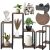 Springos Black and Brown Metal and Wood Plant Stand with Plants and Decorations