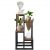 Springos 4-Tier Plant Stand Displayed with Various Plants and a Bust