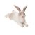 Mojo: Iepure - 6 cm, culcat 115285730