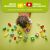 Lego Duplo Kreatywny ogród i kwiaty 10444 131266561