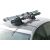 Fabbri 6960810 Ellisse sí- és snowboardtartó az autó tetején, két pár síléccel