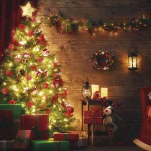 EMOS Soclu pentru telecomandă IP20 SCHUKO