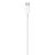 Prim-plan conector Apple USB-C