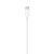 Detaliu conector Apple USB-C