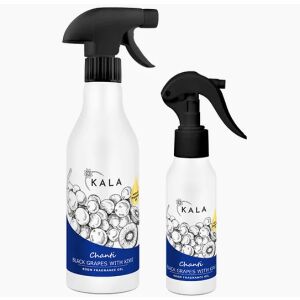 Profesionálny parfumový olej s čiernym hroznom a kivi 100 ml - Kala Chanti Black Grapes With Kiwi 116272301 - Osviežovače vzduchu