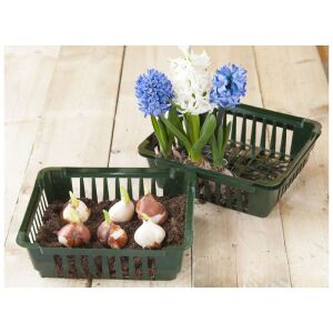 Kosár virághagymákhoz 25x21x7, 3 db/csomag 116305314 - Növénytermesztés