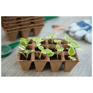 Tőzeg cserép 6x12db 4x4x5cm 116305315 - Növénytermesztés