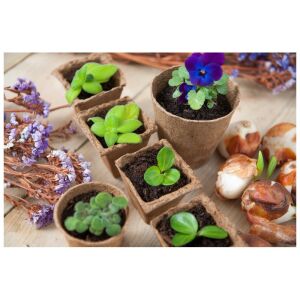 Tőzeg cserép kerek - 6x6cm - 18 db 116305318 - Növénytermesztés