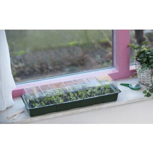 Csíráztató tálca ablakba 116305325 - Nature