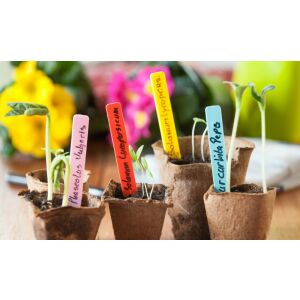 Jeltábla 10 cm - 40db 116305335 - Növénytermesztés