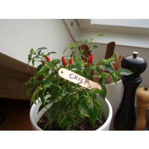 Jeltábla akasztható 9,5 cm 116305343 - Növénytermesztés