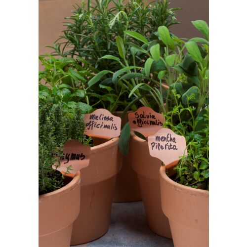 Jeltábla vörösréz, 8 cm 6 db 116305345