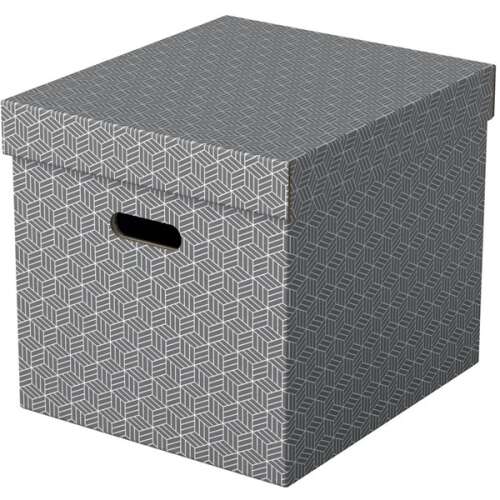 Esselte Home gray cube storage box with lid and handle