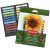 Derwent Academy Pastel Chalks 24 Set with Open Box View