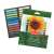 Derwent Academy 24 Pastel Chalk Set with Open Box