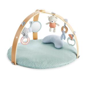 INGENUITY Loamy Baby Activity Gym with Toys and Play Mat - Baby Gyms & Play Mat