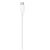 Apple USB-C auf Lightning Kabel 2M MW2R3ZM/A Retail 116897031