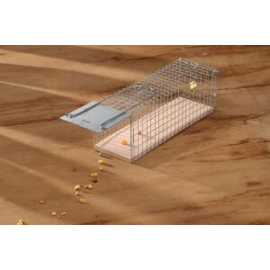Patkánycsapda drótkalitka 117188370 - Nature