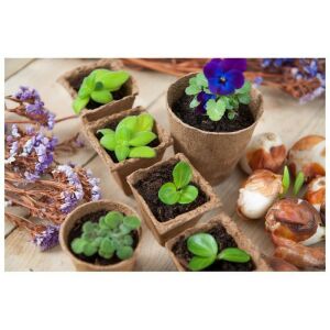 Tőzeg cserép kerek - 6x6cm - 18 db 117189335 - Növénytermesztés