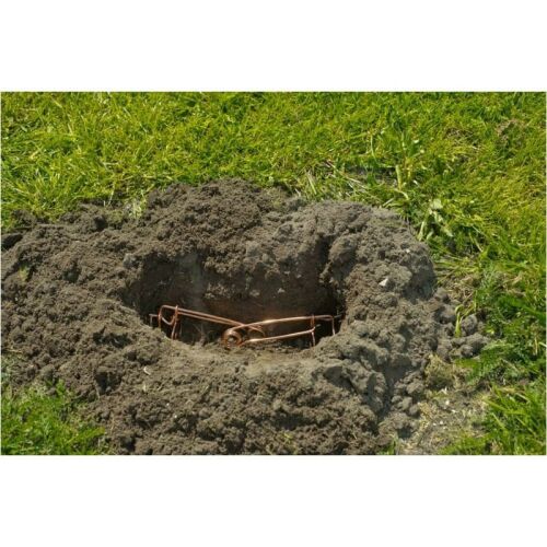 Üregi rágcsáló csapda 14cm 2db-os szett 117189468