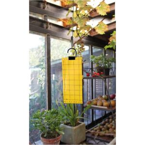 Sárga ragacsos légycsapda gyümölcslegyek és gomba szúnyogok ellen, 5 darabos csomag - Rovarcsapda