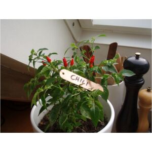 Jeltábla akasztható 9,5 cm 118142086 - Növénytermesztés