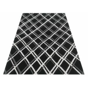 Bakero Kelim JP 11183 fekete-fehér szőnyeg, 160x230 cm, marokkói mintás - Bakero