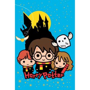 Harry Potter Chibi Wizards polár takaró 100x150cm 118286534 - Külső kártyaolvasó
