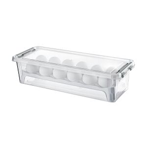 Suport transparent pentru ouă cu capac - 37x14x9 cm 118589680 - Accesorii pentru frigider