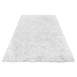 Bakero Shaggy Kota snow szőnyeg (170x240 cm) teljes nézet - Bakero