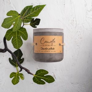 Lumanare parfumata handmade din ceara naturala de soia 100%, aroma Smochin salbatic, Recipient ceramic, 150 g 118917213 - Odorizante de camera