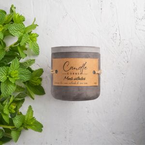 Lumanare parfumata handmade din ceara naturala de soia 100%, aroma de Menta salbatica, Recipient ceramic, 150 g 118917331 - Odorizante de camera