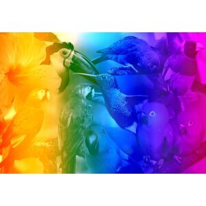 Puzzle din lemn cu figuri - Păsări gradient M 200 elemente 145027765 - Puzzle