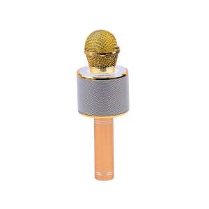 Gold wireless karaoke microphone with built-in speaker - Audio