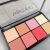 Technic Tropical Paradise Blush Highlight Palette Blush & Highlighter Palette 119494977